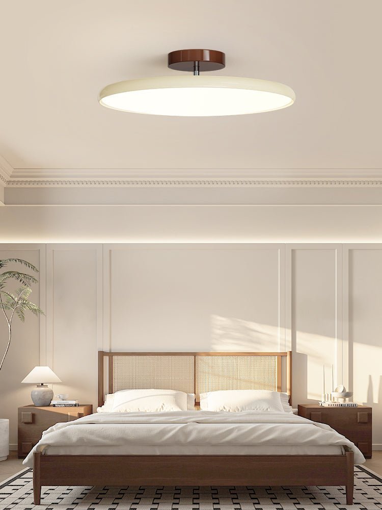 Pivot Adjustable Swing Arm Acrylic Ceiling Light for Sloped Ceilings
