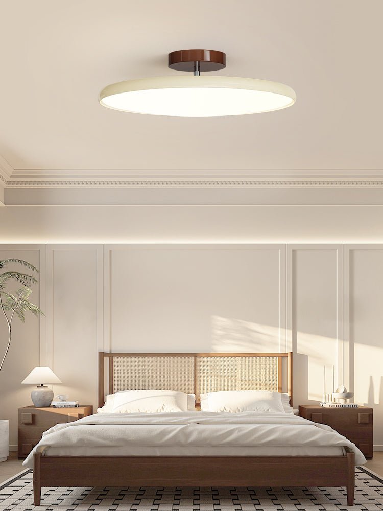 Pivot Adjustable Swing Arm Acrylic Ceiling Light for Sloped Ceilings