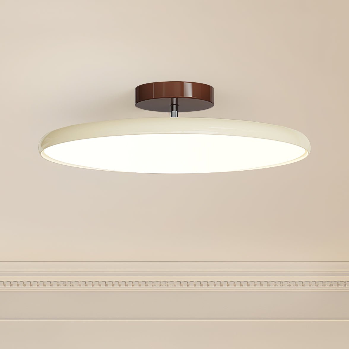 Pivot Adjustable Swing Arm Acrylic Ceiling Light for Sloped Ceilings