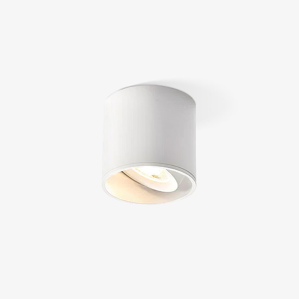 Kade Dimmable Aluminum Flush Mount Ceiling and Wall Light for Hallway