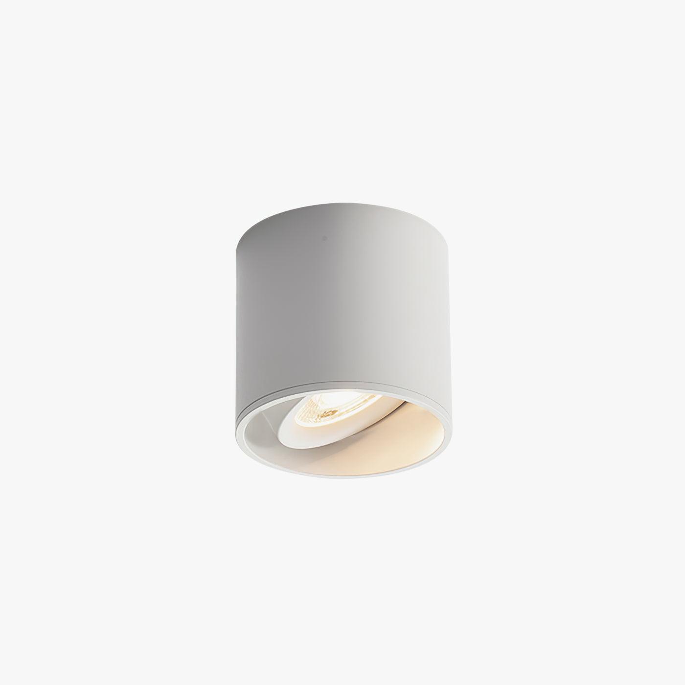 Kade Dimmable Aluminum Flush Mount Ceiling and Wall Light for Hallway