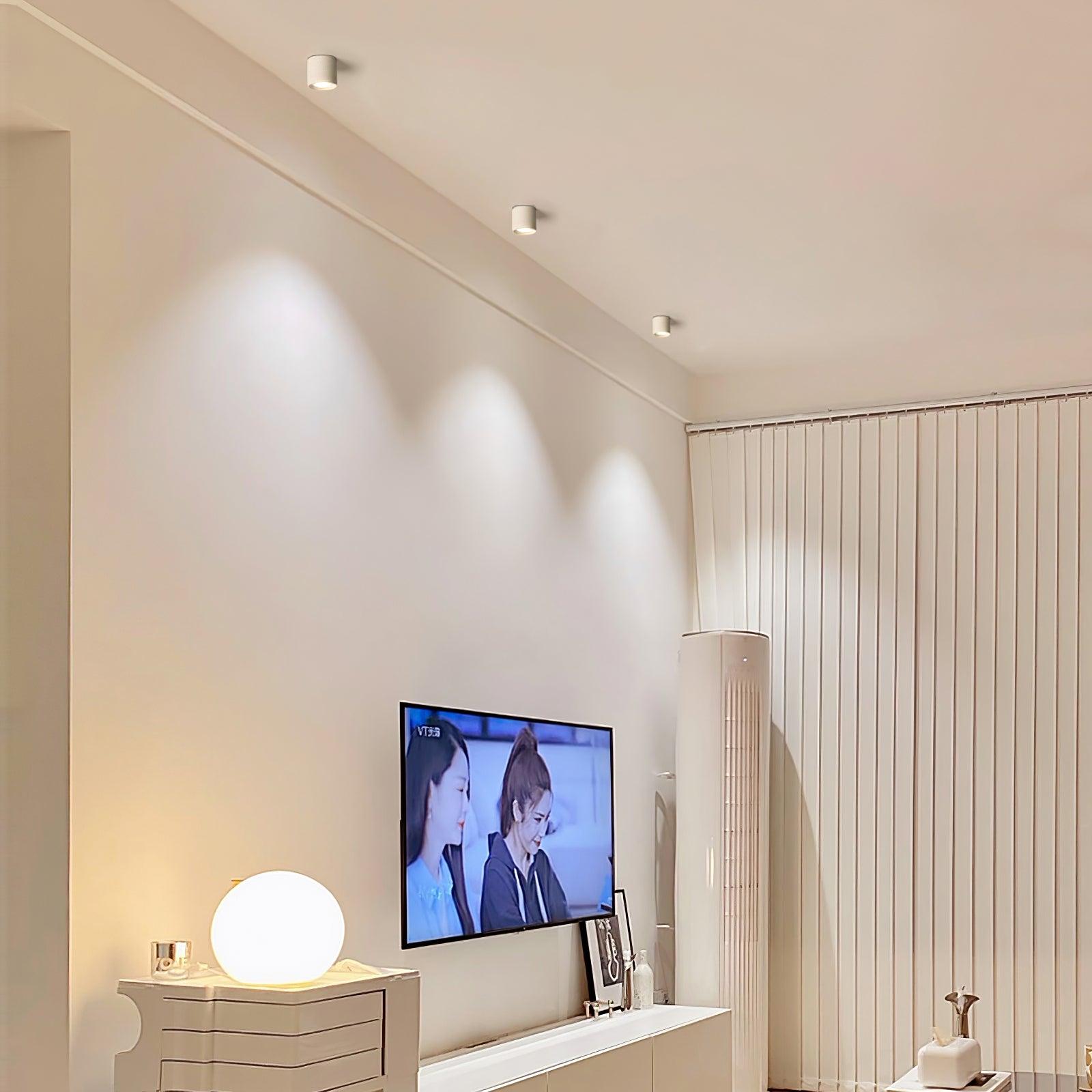 Kade Dimmable Aluminum Flush Mount Ceiling and Wall Light for Hallway