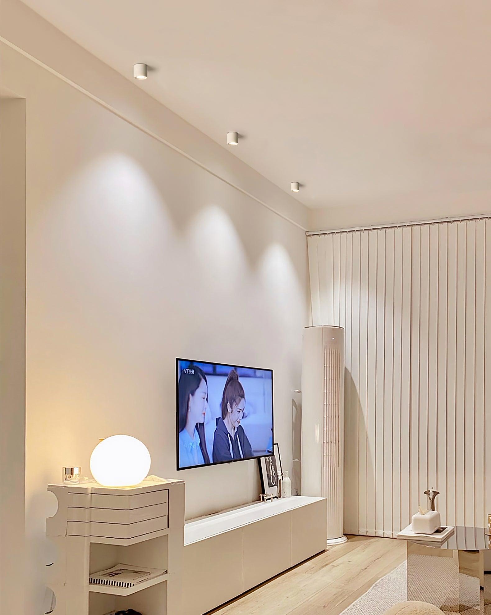 Kade Dimmable Aluminum Flush Mount Ceiling and Wall Light for Hallway