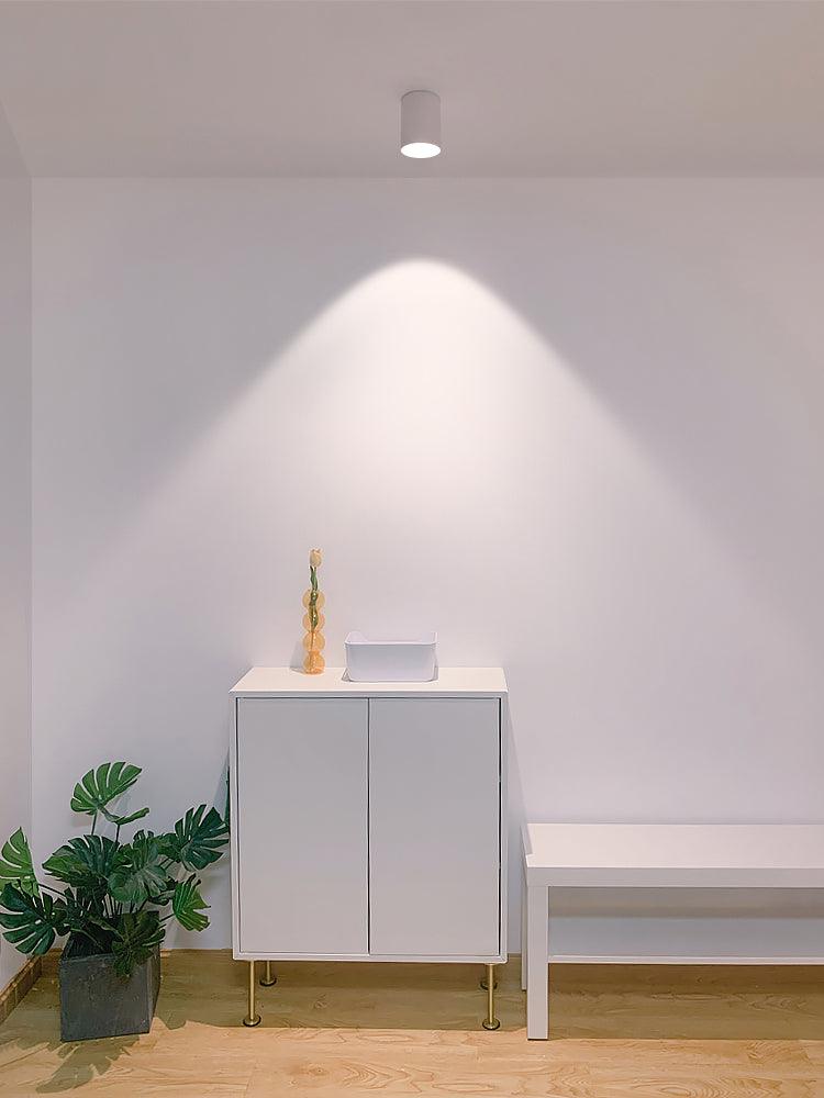 Kade Dimmable Aluminum Flush Mount Ceiling and Wall Light for Hallway