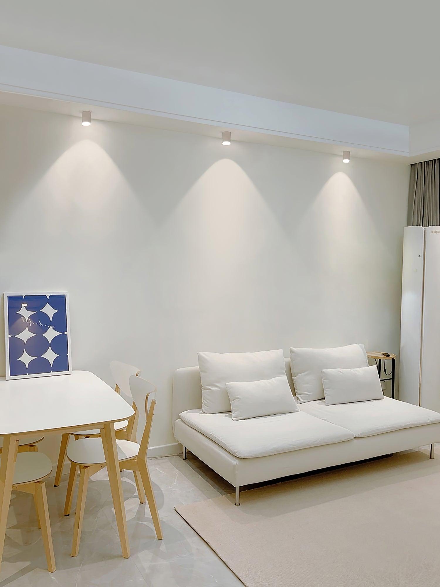 Kade Dimmable Aluminum Flush Mount Ceiling and Wall Light for Hallway