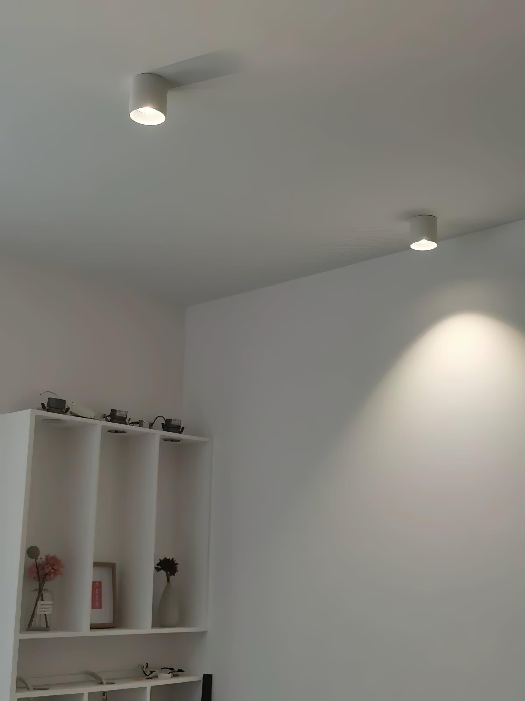 Kade Dimmable Aluminum Flush Mount Ceiling and Wall Light for Hallway