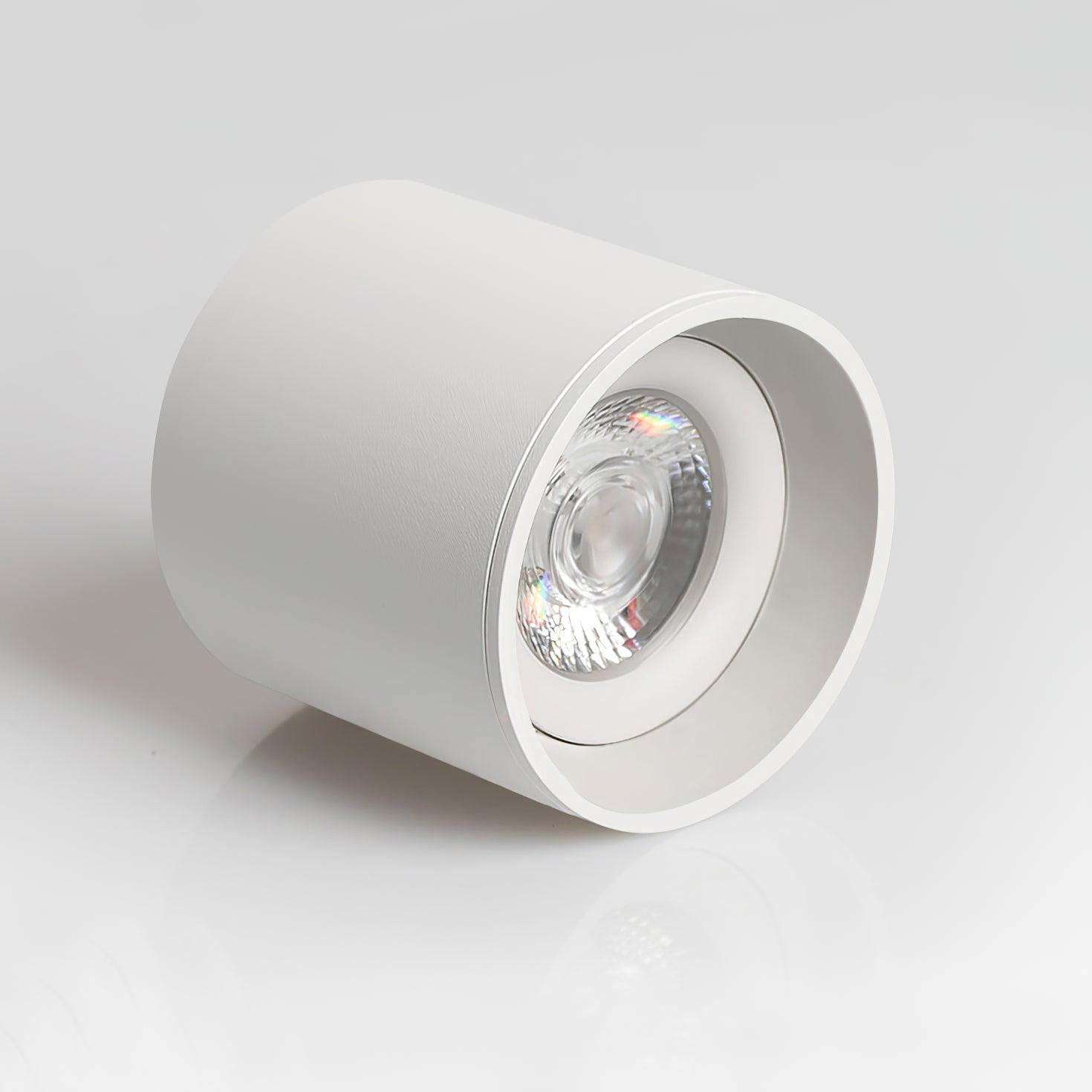 Kade Dimmable Aluminum Flush Mount Ceiling and Wall Light for Hallway