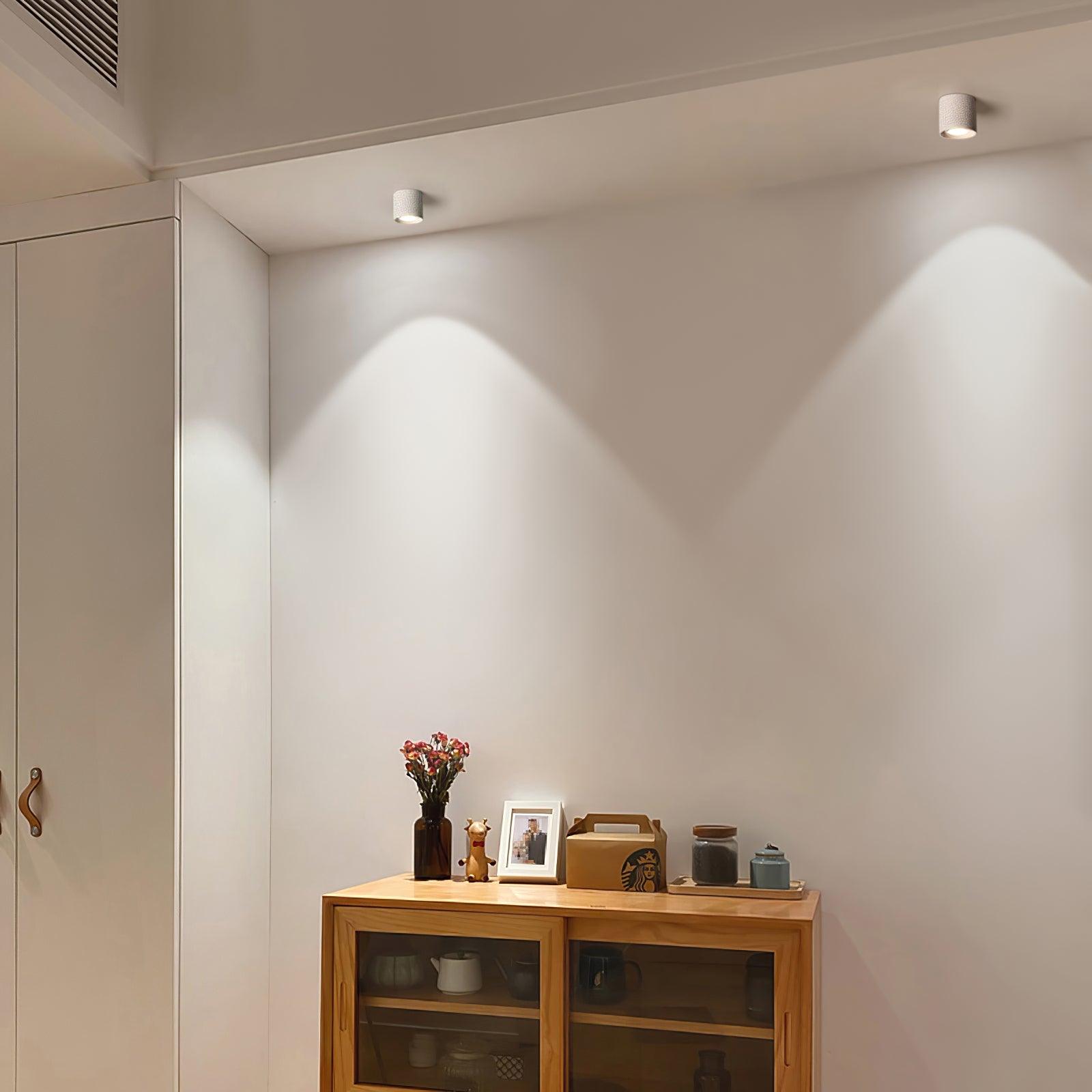 Kade Dimmable Aluminum Flush Mount Ceiling and Wall Light for Hallway