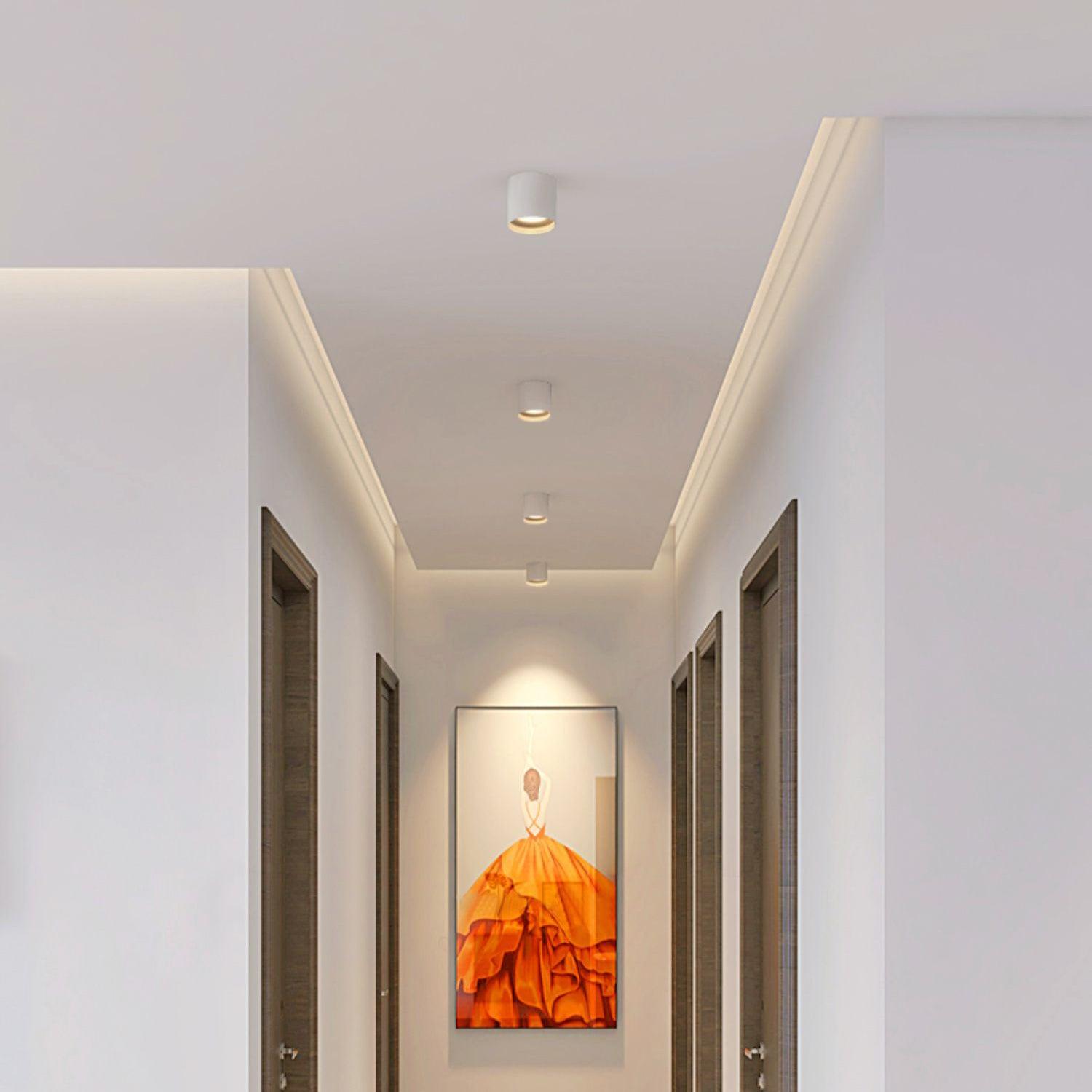 Kade Dimmable Aluminum Flush Mount Ceiling and Wall Light for Hallway