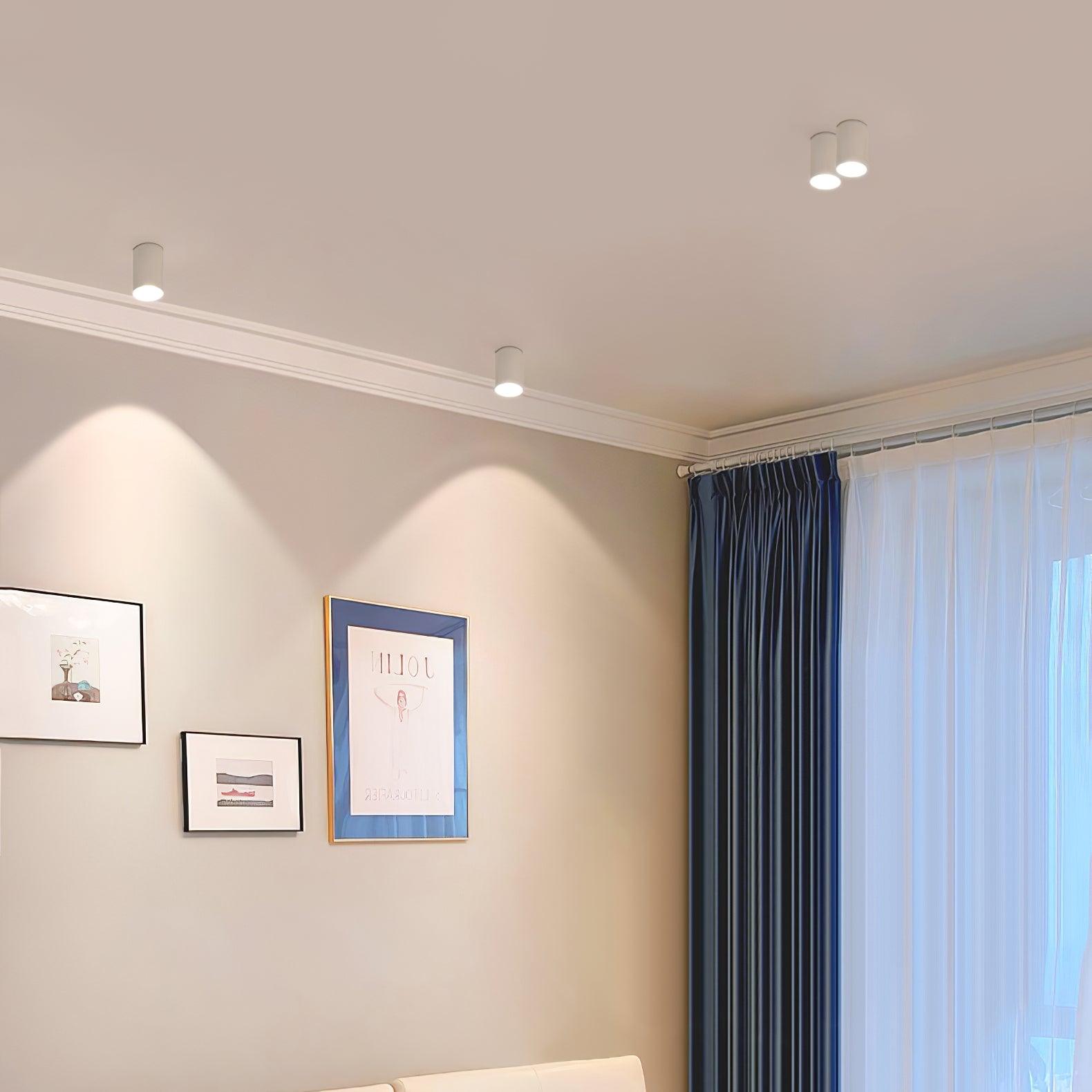 Kade Dimmable Aluminum Flush Mount Ceiling and Wall Light for Hallway