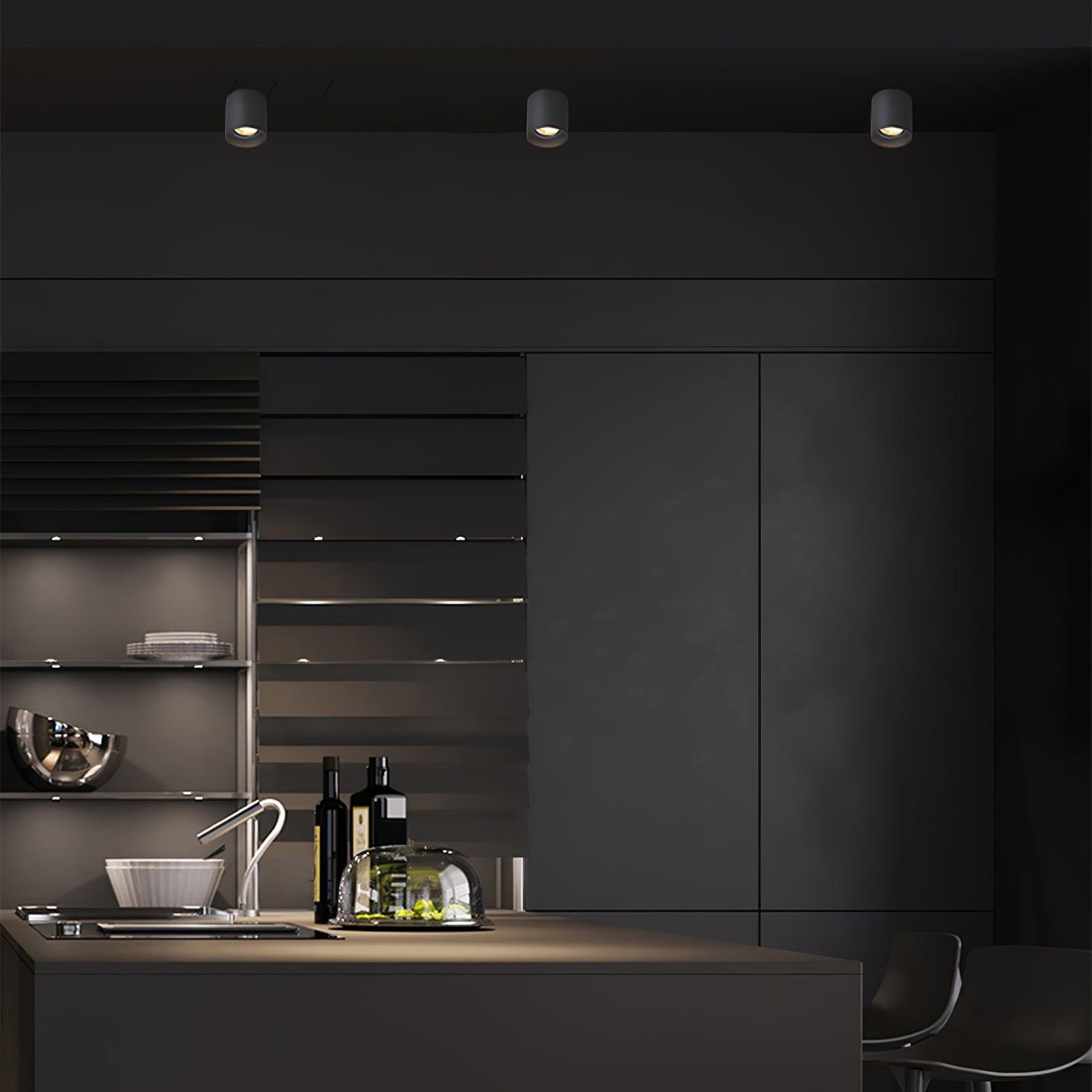 Kade Dimmable Aluminum Flush Mount Ceiling and Wall Light for Hallway
