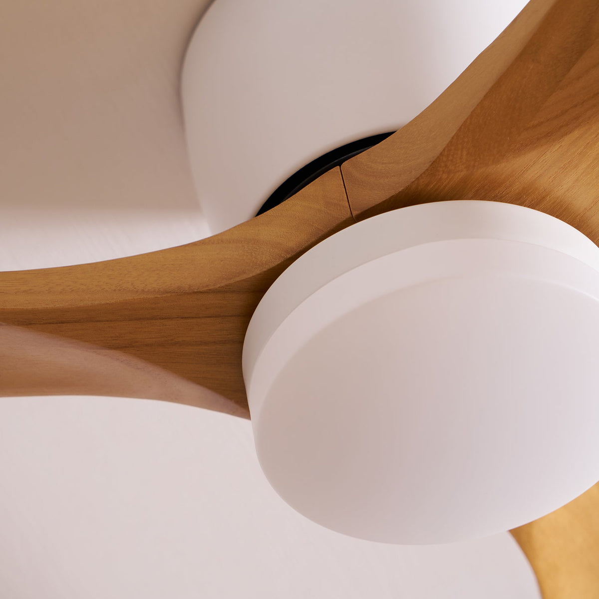 Kaze Solid Wood Quiet DC Ceiling Fan Light for Bedroom & Living Room