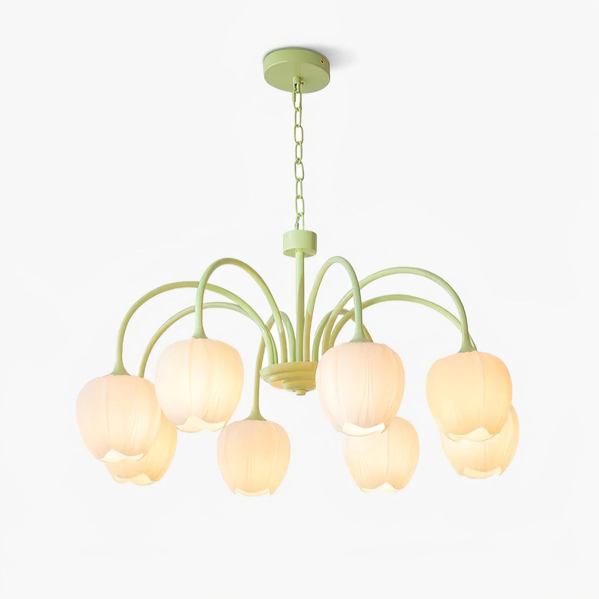 Fiore Matcha Green Tulip Glass Chandelier for Dining & Living Room
