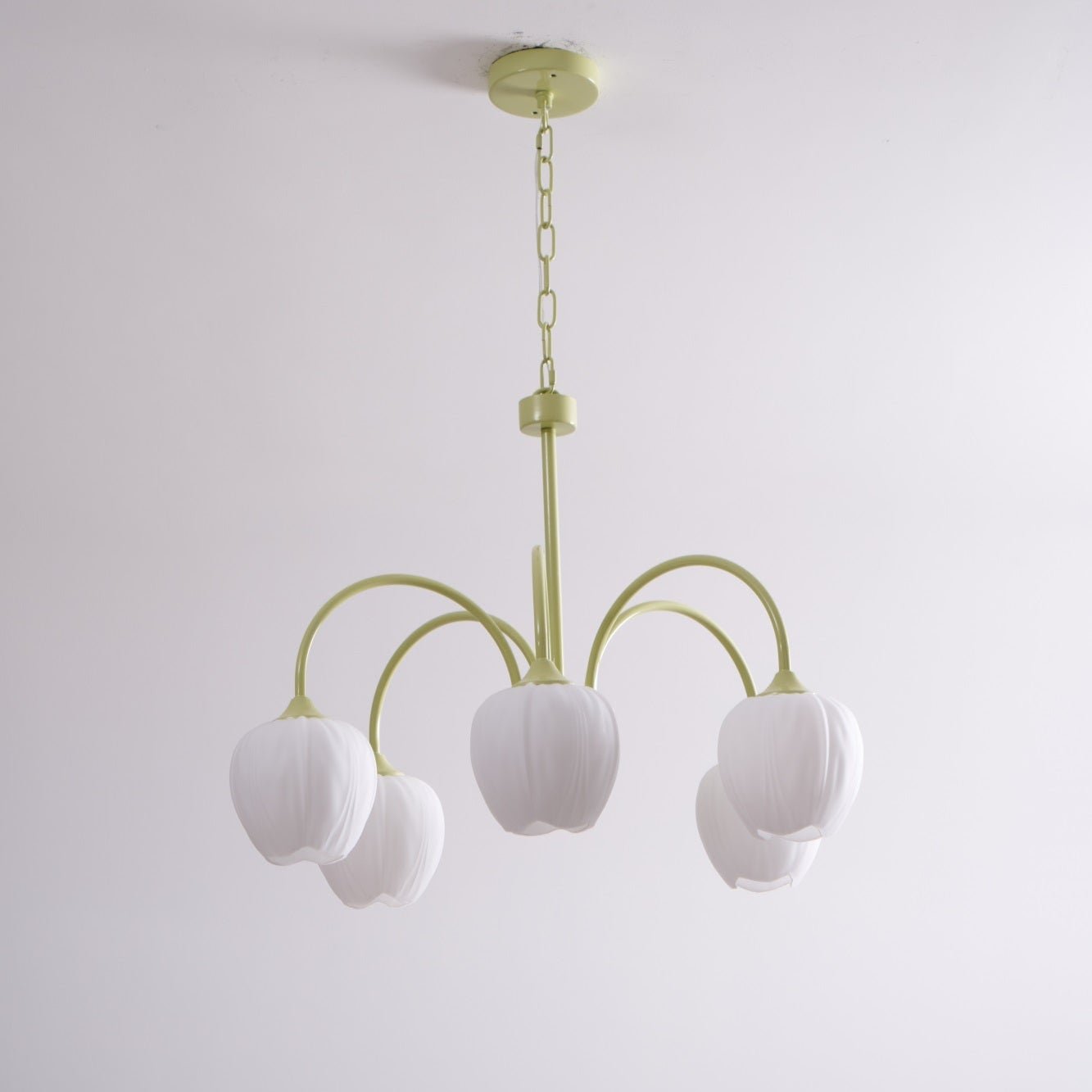 Fiore Matcha Green Tulip Glass Chandelier for Dining & Living Room