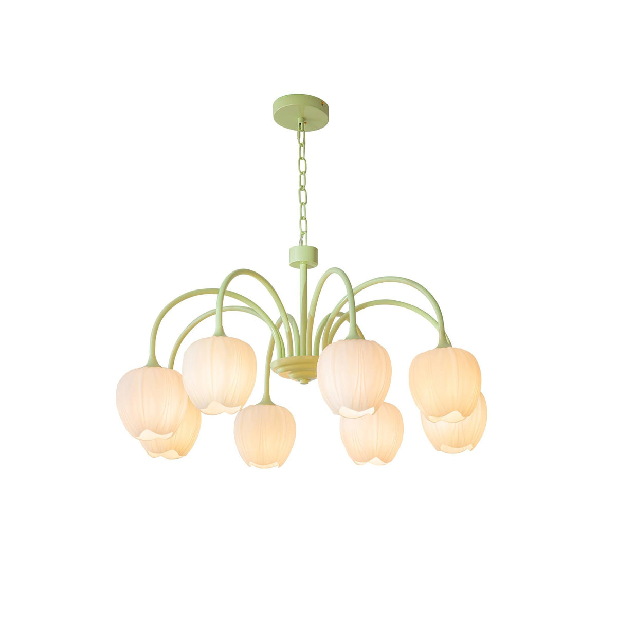 Fiore Matcha Green Tulip Glass Chandelier for Dining & Living Room